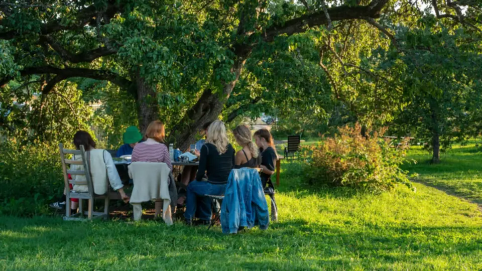Een gezelschap zit aan een tafel onder een grote boom in een zonnige tuin met gras en struiken